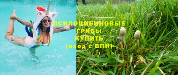 ешки Алексин