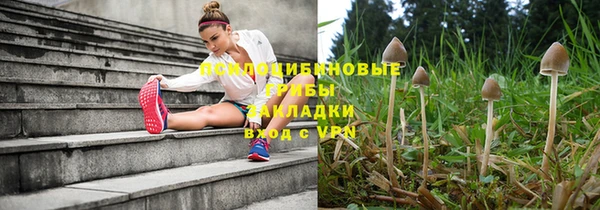 твердый Нягань