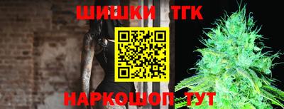 прущие грибы Усть-Джегута