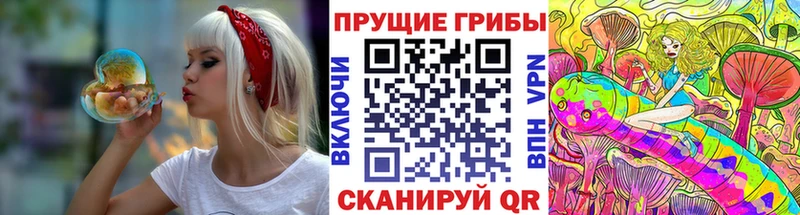 Галлюциногенные грибы GOLDEN TEACHER  где купить наркоту  Переславль-Залесский 