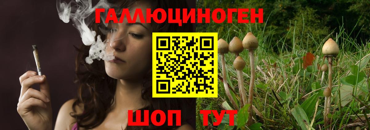 Галлюциногенные грибы MAGIC MUSHROOMS  Псилоцибиновые грибы MAGIC MUSHROOMS  Вход с VPN  Переславль-Залесский 